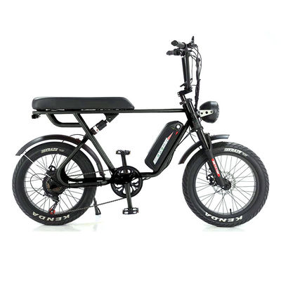 Внешнее приключение 20*4.0 Kenda Fat Tire Double Disc Brake Горный велосипед для подростков