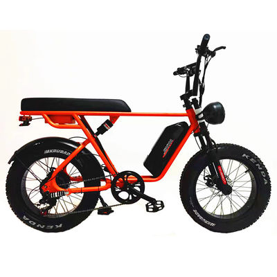 Внешнее приключение 20*4.0 Kenda Fat Tire Double Disc Brake Горный велосипед для подростков