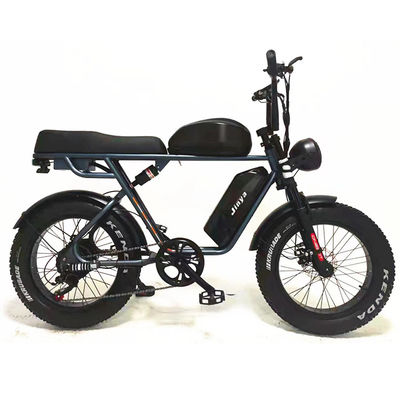 Внешнее приключение 20*4.0 Kenda Fat Tire Double Disc Brake Горный велосипед для подростков