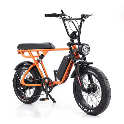 Внешнее приключение 20*4.0 Kenda Fat Tire Double Disc Brake Горный велосипед для подростков
