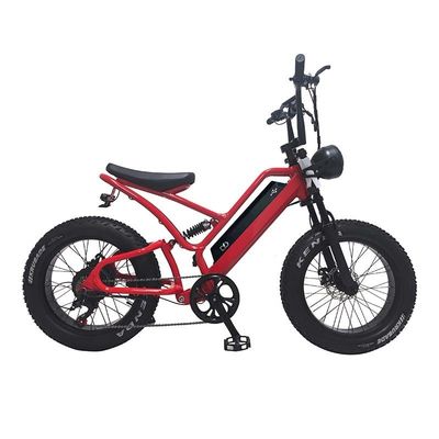 Электровелосипед жирная шина 48V10Ah литий батарея скорость 500W безстыковый спиковый мотор для снегоходов