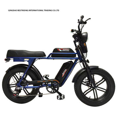 20 дюймов жирные шины Эбике 48V 1000W электрический горный велосипед для экологически чистых поездок