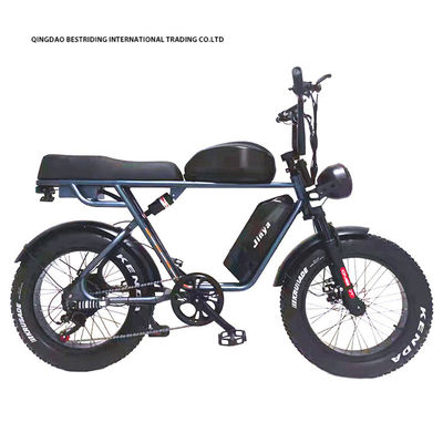 20 дюймов жирные шины Эбике 48V 1000W электрический горный велосипед для экологически чистых поездок