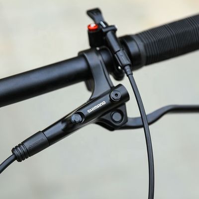29 дюймовый поддержка OEM горный велосипед с YBN S12S цепь 12 скорости MTB 2022 твердой рамы