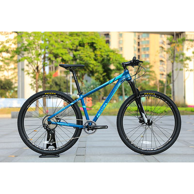 29er скоростной горный велосипед с пользовательским каркасом из углеродного волокна и коляской TEN-M601