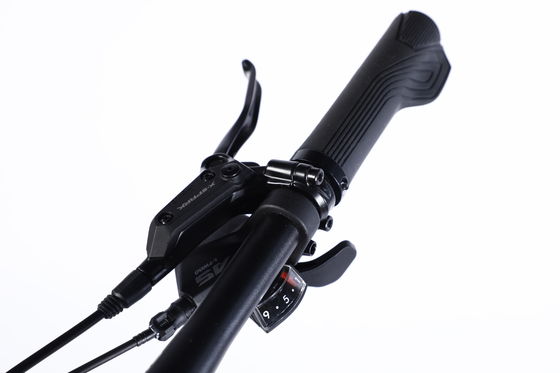 Большой горнолыжный гоночный горнолыжный скорость с Al Cassette Hub для Dsic тормоза