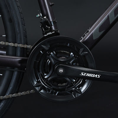 700*35C шины Плоская стойка Adventure Bike с обычной педалью и алюминиевым материалом вилки