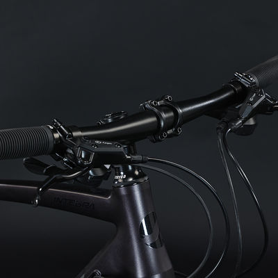 700*35C шины Плоская стойка Adventure Bike с обычной педалью и алюминиевым материалом вилки