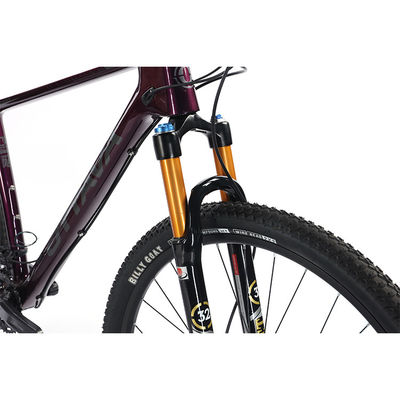 29" Горный велосипед из углеродного волокна с декоративными частями Shimano 22s