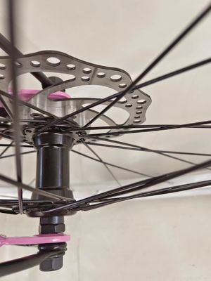 High Carbon Steel Frame Electric Foldable Bike with Custom Design and Powerful Disc Brake 160mm